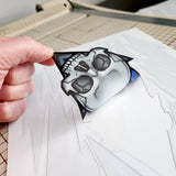 Wickedness Pre-Cut Internal Graphics for RC Body Shells